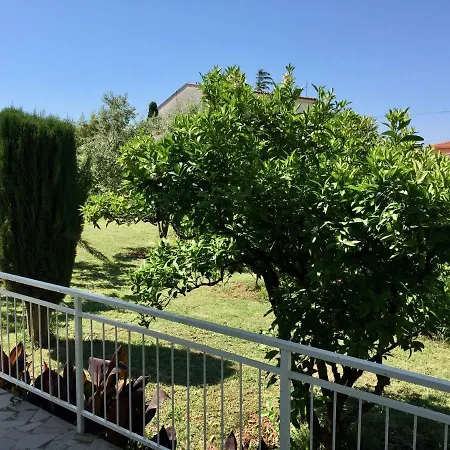 Kosovic Family House 3* Medulin
