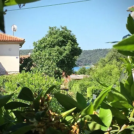 Kosovic Family House Guest house 3*
