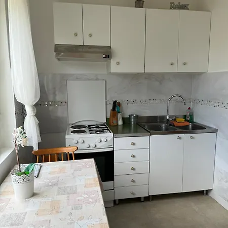 Kosovic Family House