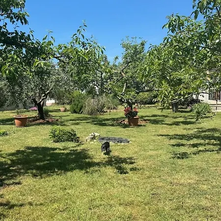 Kosovic Family House 게스트하우스 메덜린