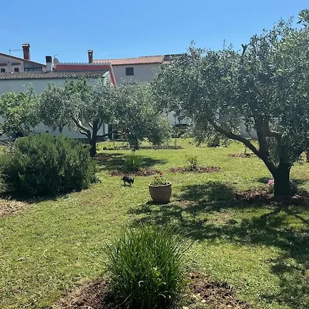 게스트하우스 Kosovic Family House 메덜린