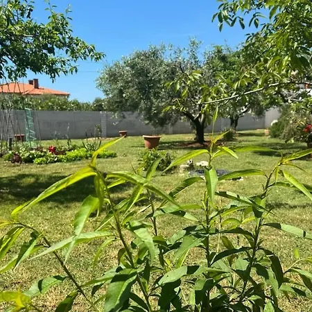 Kosovic Family House 3*