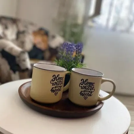 게스트하우스 Kosovic Family House